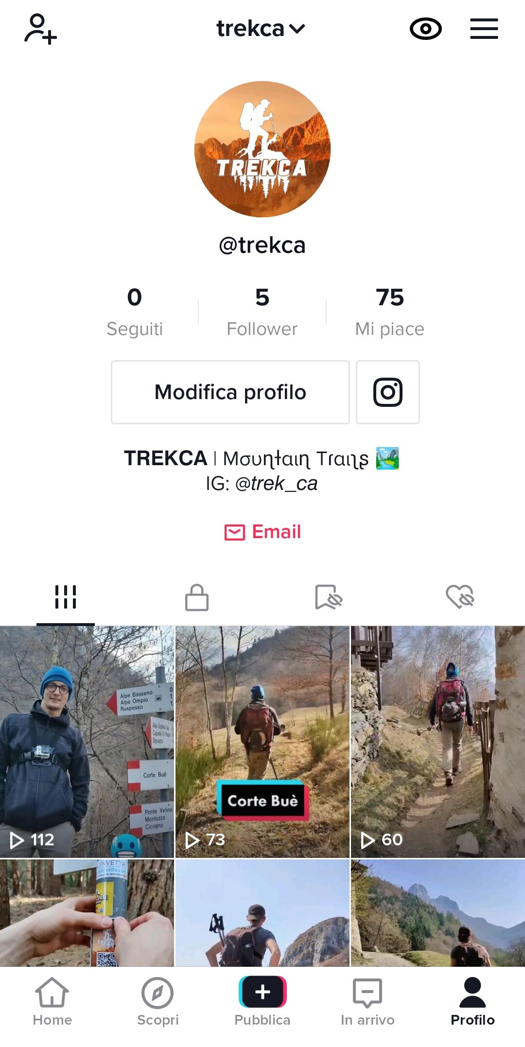 Smartphone TikTok Profilo