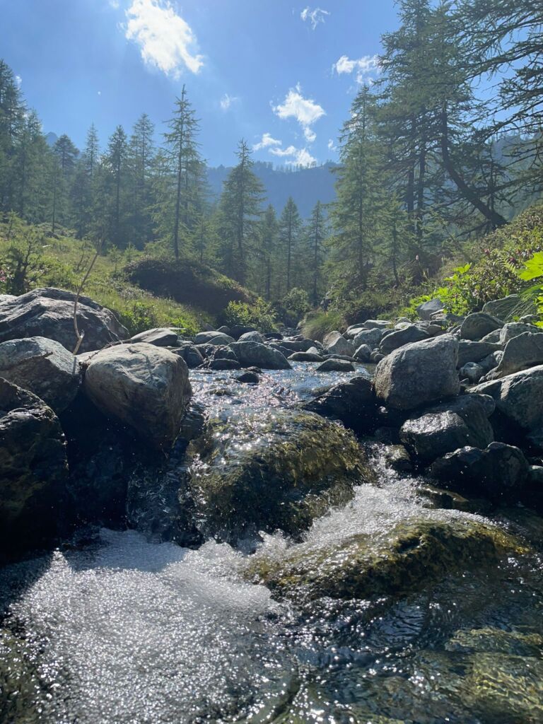 Torrente Alpe Vercoche