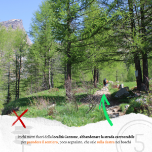 Dopo località Cantone Alpe Devero