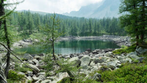Lago Nero, Alpe Devero