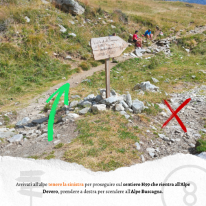 Alpe Buscagna