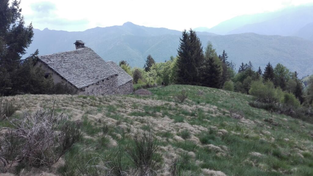 Alpe Oro, Monte Ziccher