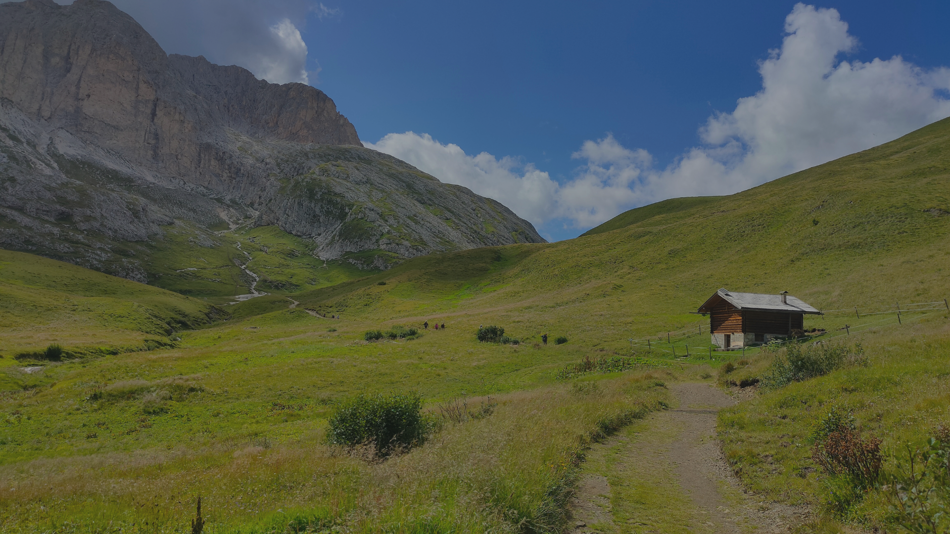 Trekking copertina