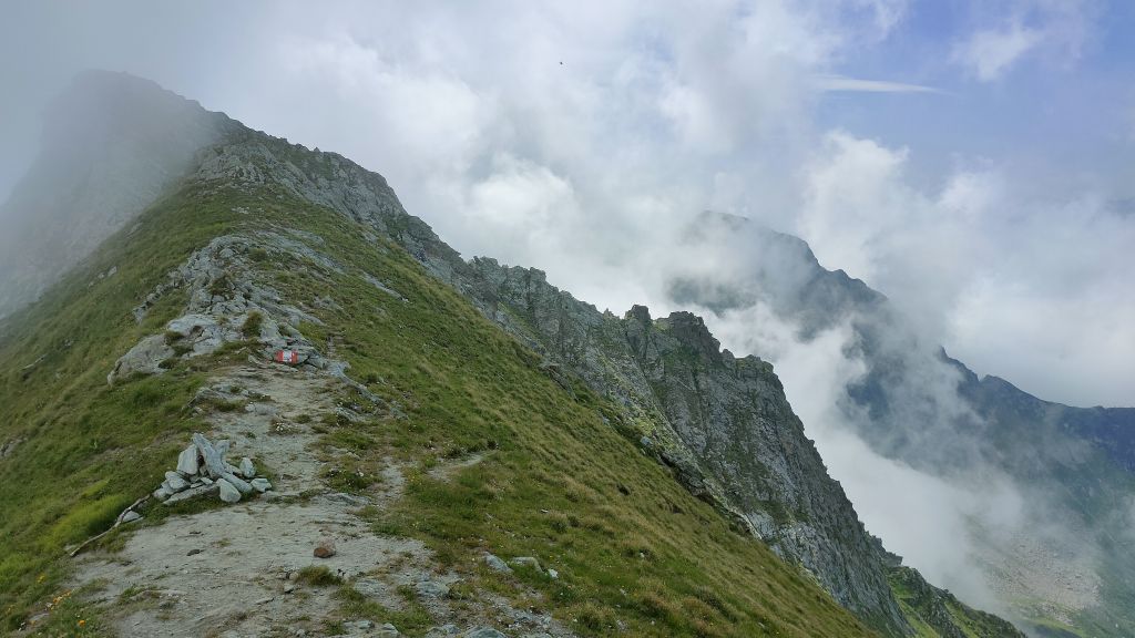 Tagliaferro