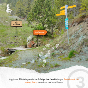 Alpe Prà Oursiè