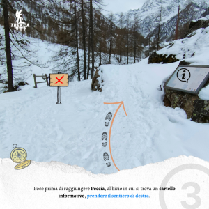 Val Vogna