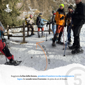 Bosco incantato di Sylvenoire