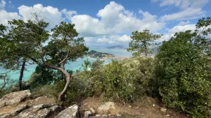 Punta Manara